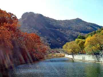 37岁女星江若琳突发车祸，社工库查询